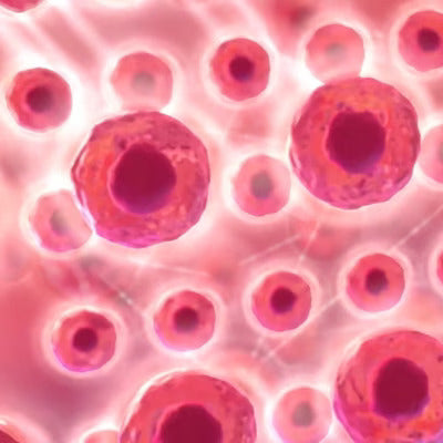 Carica il video: 